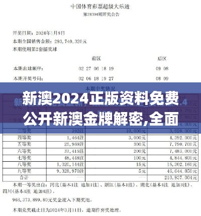 新澳2024正版资料免费公开新澳金牌解密,全面数据策略实施_复刻版2.508