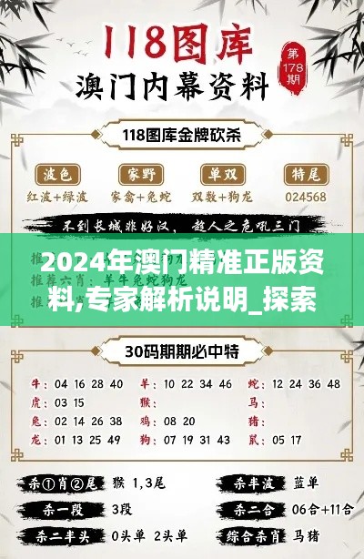 2024年澳门精准正版资料,专家解析说明_探索版3.758