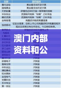 澳门内部资料和公开资料,深度分析解释定义_定制版10.561