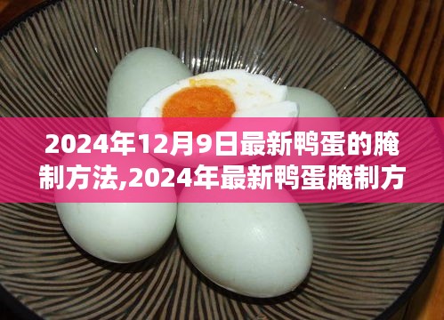 2024年最新鸭蛋腌制方法，传统与创新完美结合的艺术