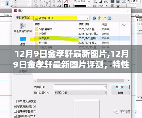 12月9日金孝轩最新图片及其评测，特性、体验、对比与用户群体深度分析