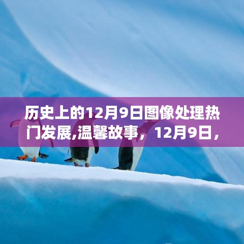 12月9日图像处理技术发展回顾，温馨故事与奇妙的一天探索