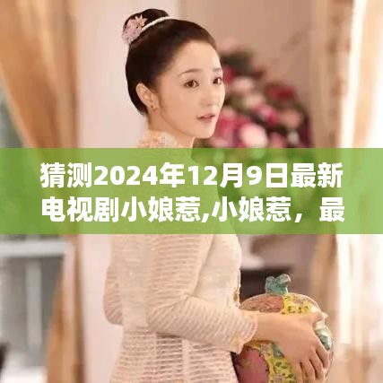 小娘惹，领略娘惹文化的魅力，最新电视剧预告（2024年12月9日上线）