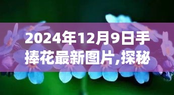 独家展示，探秘小巷深处的花之秘境——2024年12月9日手捧花最新图片分享