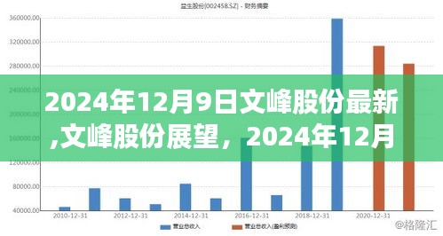 文峰股份最新动态与行业洞察，展望2024年12月9日的发展前景分析