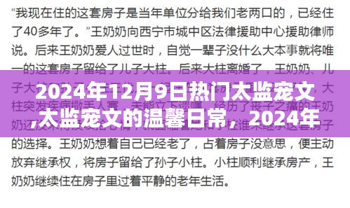 太监宠文的温馨日常，2024年12月9日的特别时光