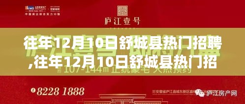 往年12月10日舒城县热门招聘全景解析及求职指南