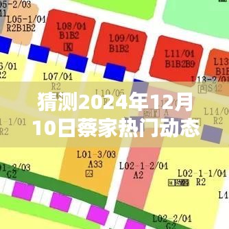 2024年12月10日蔡家热门动态探索，预测未来的指南