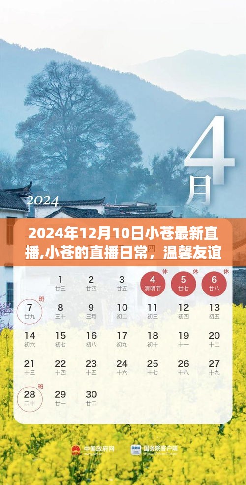 小苍直播日常，见证温馨友谊与爱在直播中的传递（2024年12月10日最新直播）