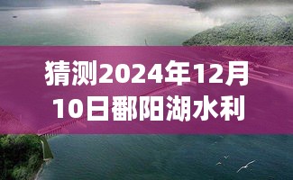 2024年12月10日 第8页