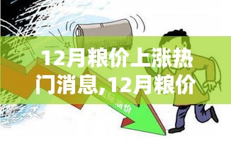 12月粮价上涨背后的原因及影响深度分析