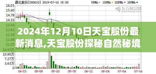 天宝股份探秘自然秘境，心灵之旅最新篇章揭晓（2024年12月）