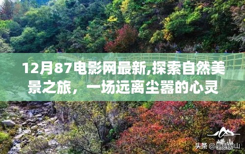 12月87电影网带你领略最新自然美景，心灵之旅启程