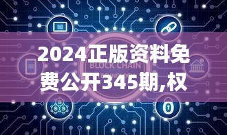 2024正版资料免费公开345期,权威诠释推进方式_复刻版11.239