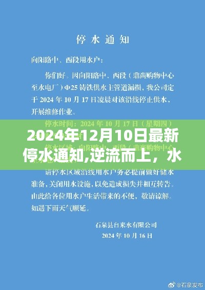 逆流而上，水落新生，一次停水启示下的自我超越之旅