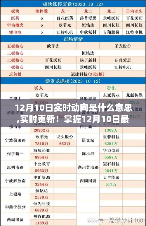 掌握最新动态，12月10日实时动向追踪，洞悉全球最新资讯