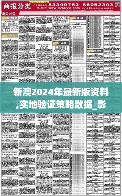 新澳2024年最新版资料,实地验证策略数据_影像版6.834