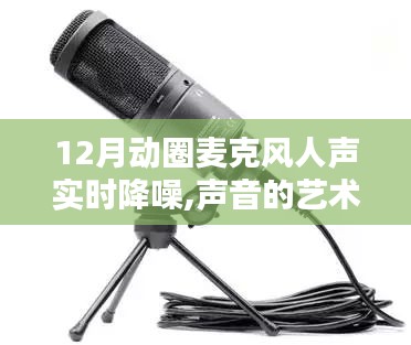 动圈麦克风在12月人声实时降噪技术的演进与影响，声音艺术的进步之旅