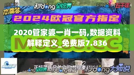 2020管家婆一肖一码,数据资料解释定义_免费版7.836