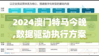 2024澳门特马今晚,数据驱动执行方案_移动版1.319