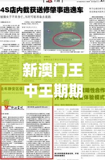 新澳门王中王期期中特,标准化实施评估_专业款18.813