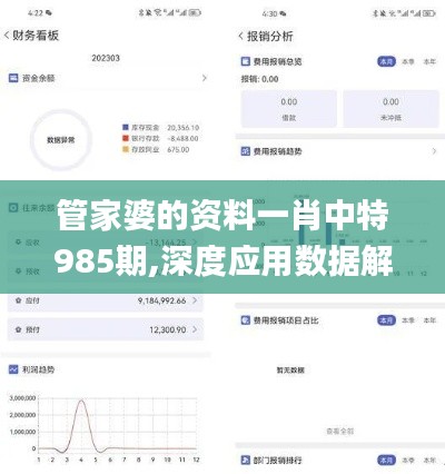 管家婆的资料一肖中特985期,深度应用数据解析_S1.917