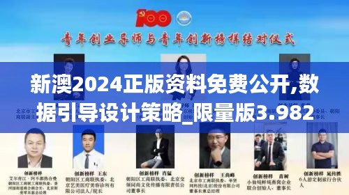 新澳2024正版资料免费公开,数据引导设计策略_限量版3.982