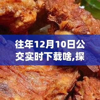 探秘公交美食之旅，12月10日公交实时下载的美食秘境之旅