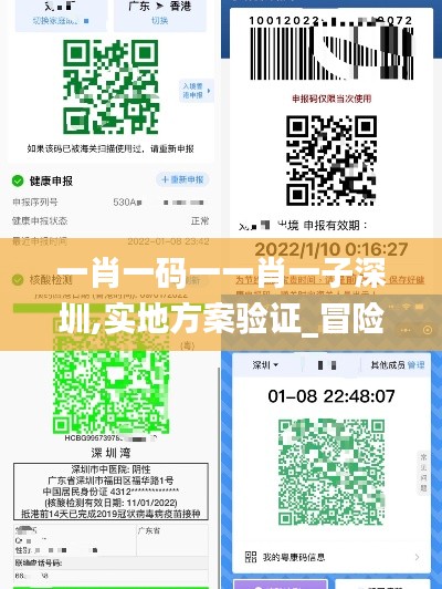 一肖一码一一肖一子深圳,实地方案验证_冒险版3.755