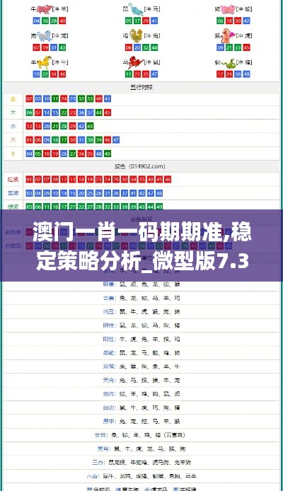 澳门一肖一码期期准,稳定策略分析_微型版7.311