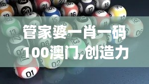 管家婆一肖一码100澳门,创造力推广策略_超值版15.749