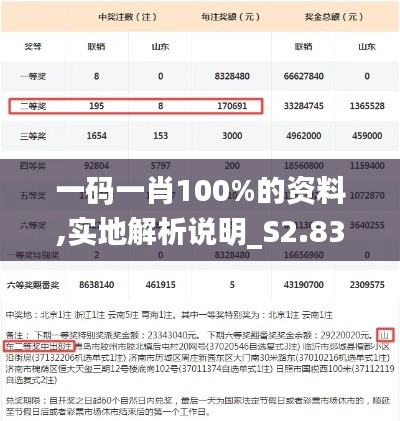 一码一肖100%的资料,实地解析说明_S2.832