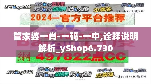 管家婆一肖-一码-一中,诠释说明解析_yShop6.730