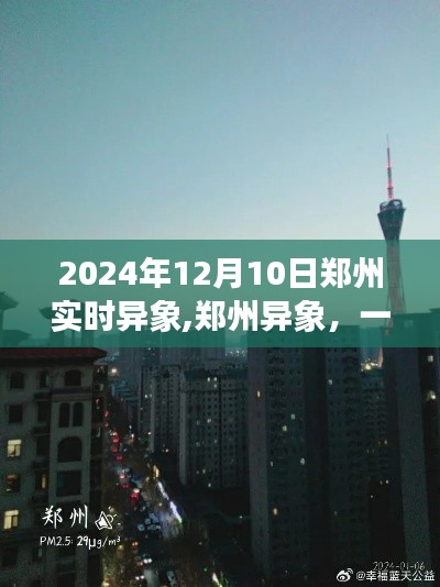 郑州异象探寻之旅，寻找内心平静的绿色之旅（2024年12月10日实时记录）