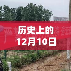 历史上的12月10日，实时讯息数据获取全面解析与当日讯息数据探索