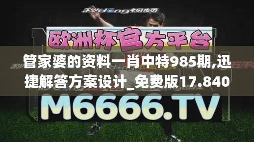 管家婆的资料一肖中特985期,迅捷解答方案设计_免费版17.840