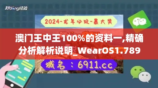 澳门王中王100%的资料一,精确分析解析说明_WearOS1.789