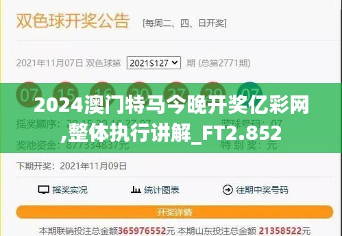 2024澳门特马今晚开奖亿彩网,整体执行讲解_FT2.852