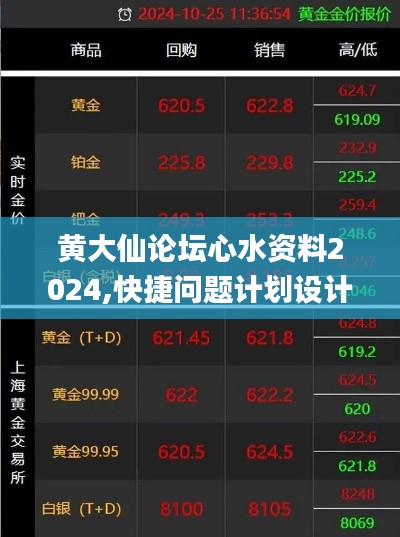 黄大仙论坛心水资料2024,快捷问题计划设计_4DM11.623