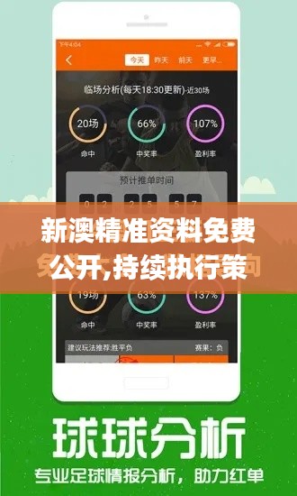 新澳精准资料免费公开,持续执行策略_Phablet6.150