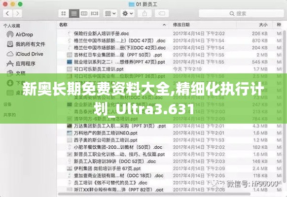 新奥长期免费资料大全,精细化执行计划_Ultra3.631