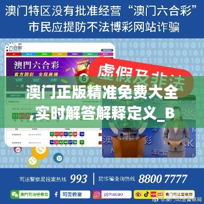 澳门正版精准免费大全,实时解答解释定义_BT19.494