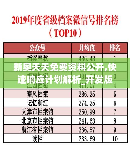 新奥天天免费资料公开,快速响应计划解析_开发版19.680