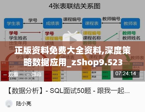 正版资料免费大全资料,深度策略数据应用_zShop9.523