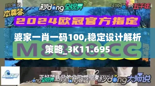 婆家一肖一码100,稳定设计解析策略_3K11.695