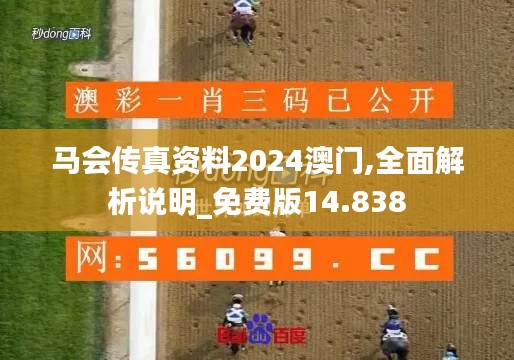 马会传真资料2024澳门,全面解析说明_免费版14.838