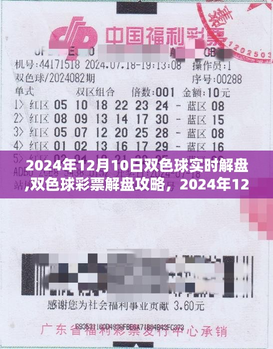 双色球彩票解盘攻略，初学者与进阶用户必备指南（2024年12月10日实时解盘详解）