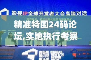 精准特围24码论坛,实地执行考察数据_XP110.402