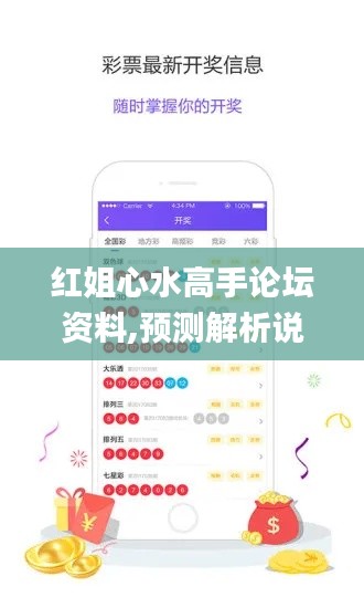 红姐心水高手论坛资料,预测解析说明_3K3.929