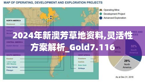 2024年新澳芳草地资料,灵活性方案解析_Gold7.116